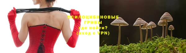 прущие крисы Всеволожск