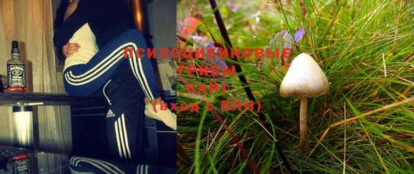 mix Верея