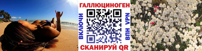 дарнет шоп  Верея  Галлюциногенные грибы мицелий 