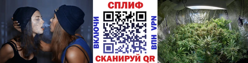 Каннабис White Widow  площадка формула  Верея 